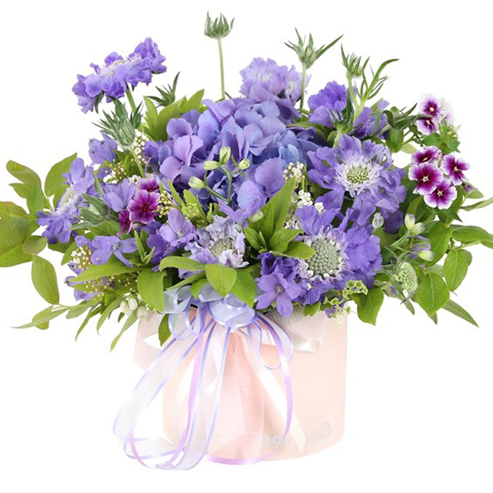 (오늘도착) 99플라워 프리미엄 꽃상자 "아름다운 꿈" ST-B519 - 생일선물 감사선물 플라워박스 당일꽃배달 전국당일배송 생화 62,100원