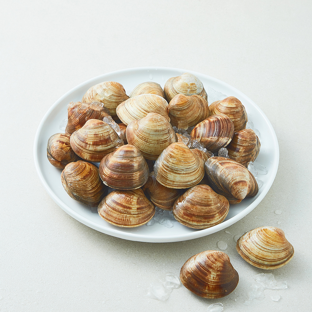 [로켓프레시] 아라보감 생물 백합조개 (냉장), 1개, 1.5kg 8,990원