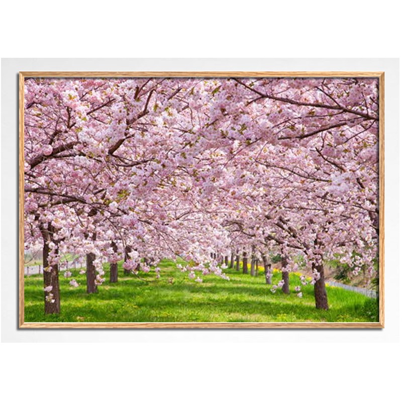 1000피스 직소퍼즐 만개한 봄의 벚꽃길 (액자선택) PL1356, 1개, 퍼즐+알루미늄오크 직소퍼즐액자포함, 1000피스 52,000원