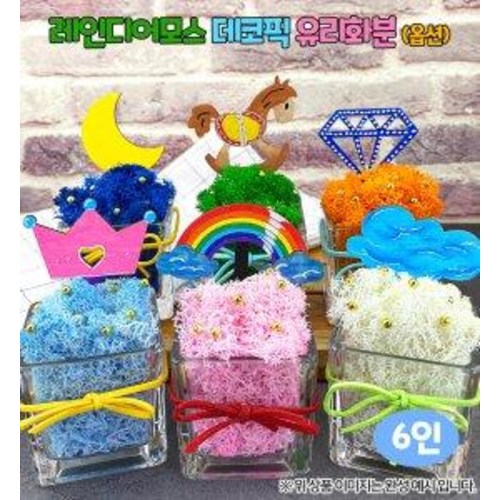 레인디어모스 데코픽 유리화분 6인(옵션) 26,000원