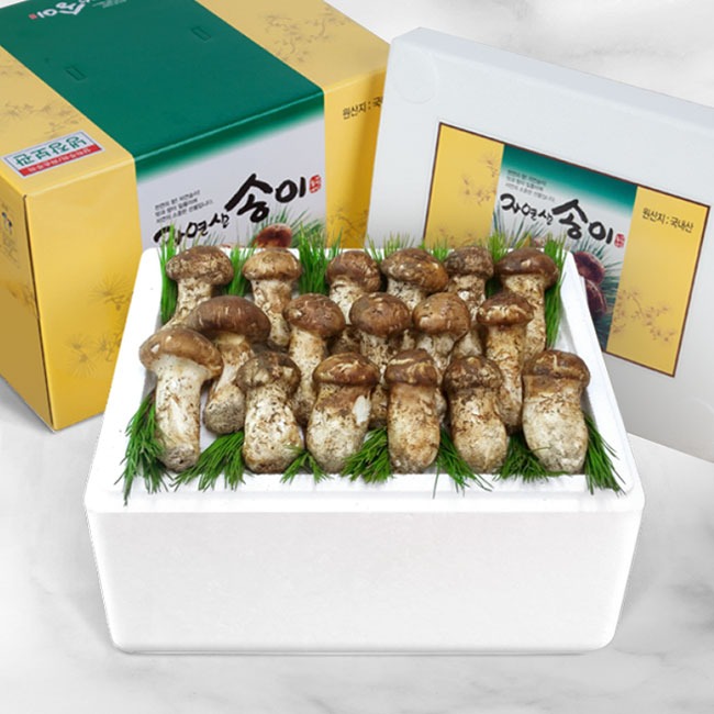 소중한만큼 고마운선물 강원 양양 자연산 송이 버섯 283,000원