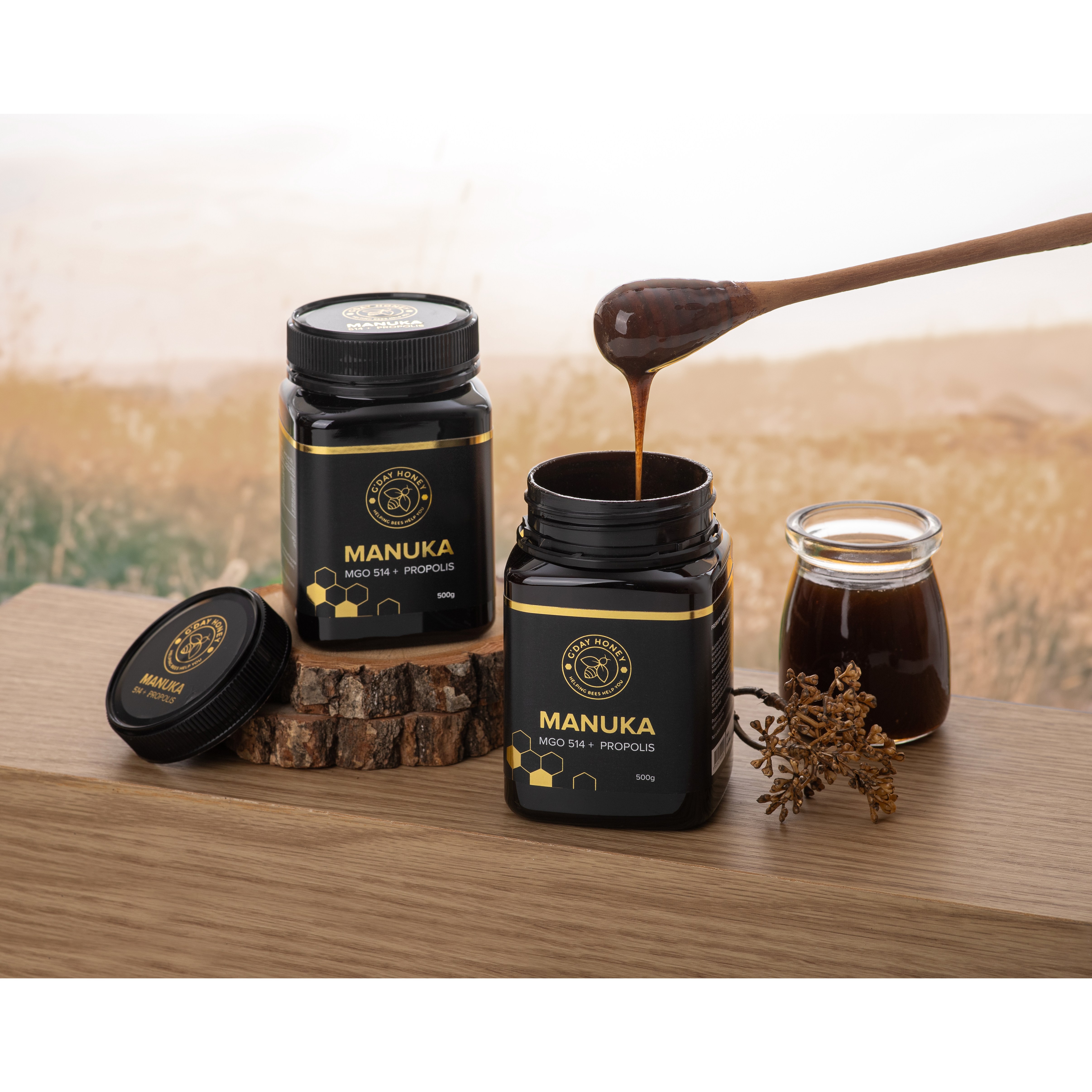 호주 굿데이허니 마누카꿀 MGO514+ 프로폴리스 GDAY HONEY MANUKA HONEY 183,500원