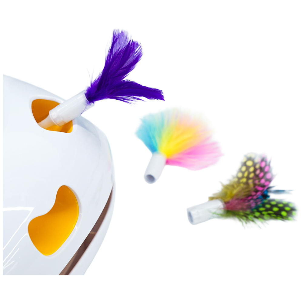 헤이홈 꼬리잡기 고양이 자동 장난감 액세서리 2,500원