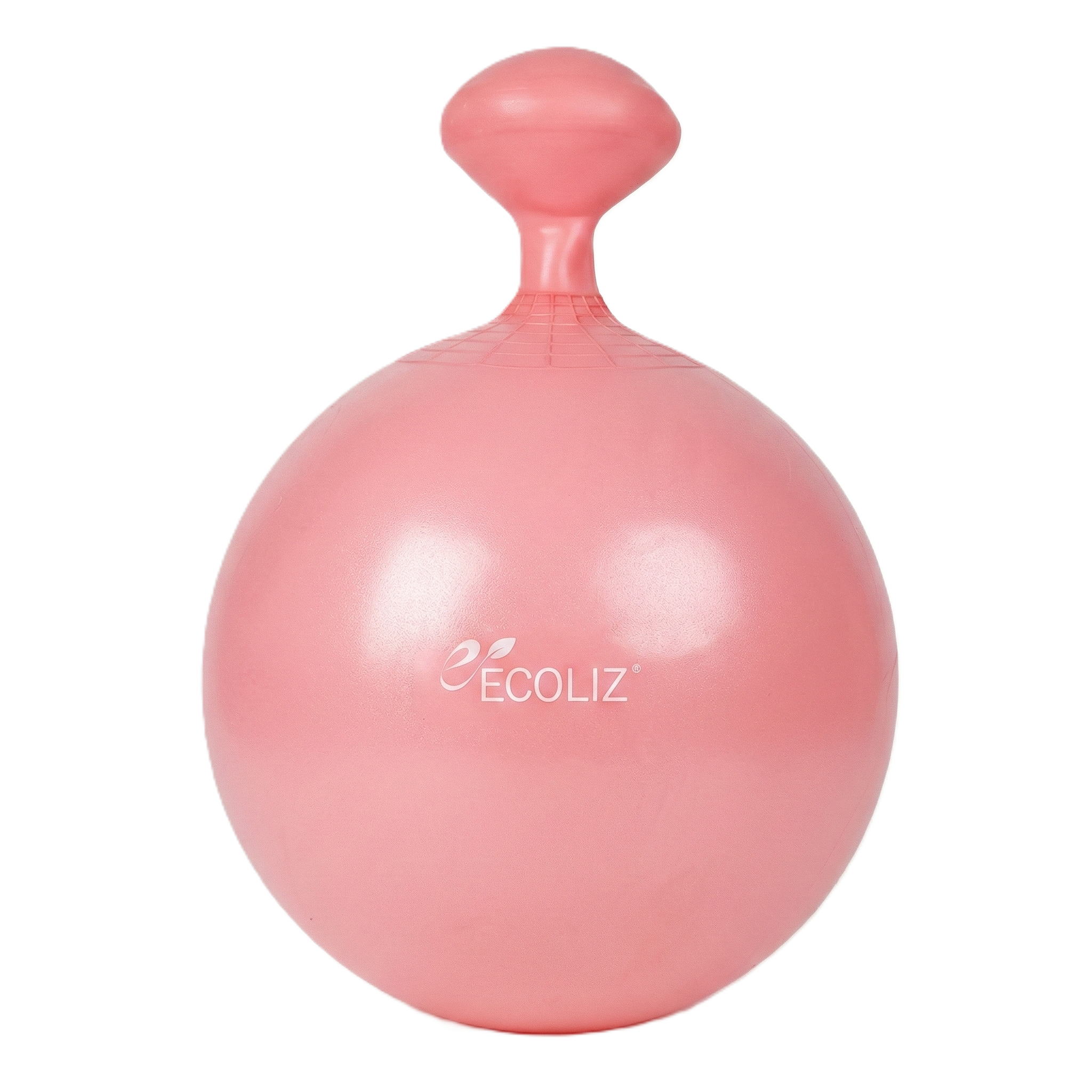 에코리즈 밸런스 짐볼 20,800원