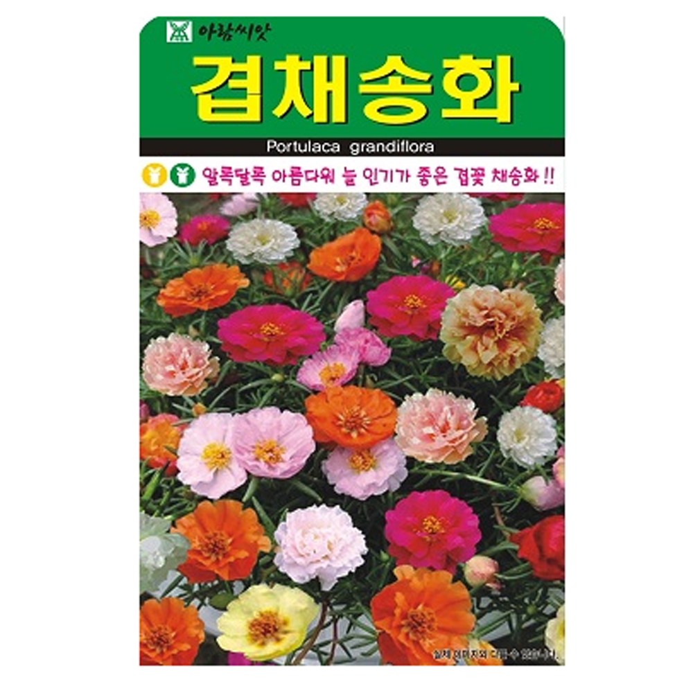 세인화분 겹채송화 1000립 - 채송화 야생화 들꽃 꽃 씨 씨앗, 5개 12,080원