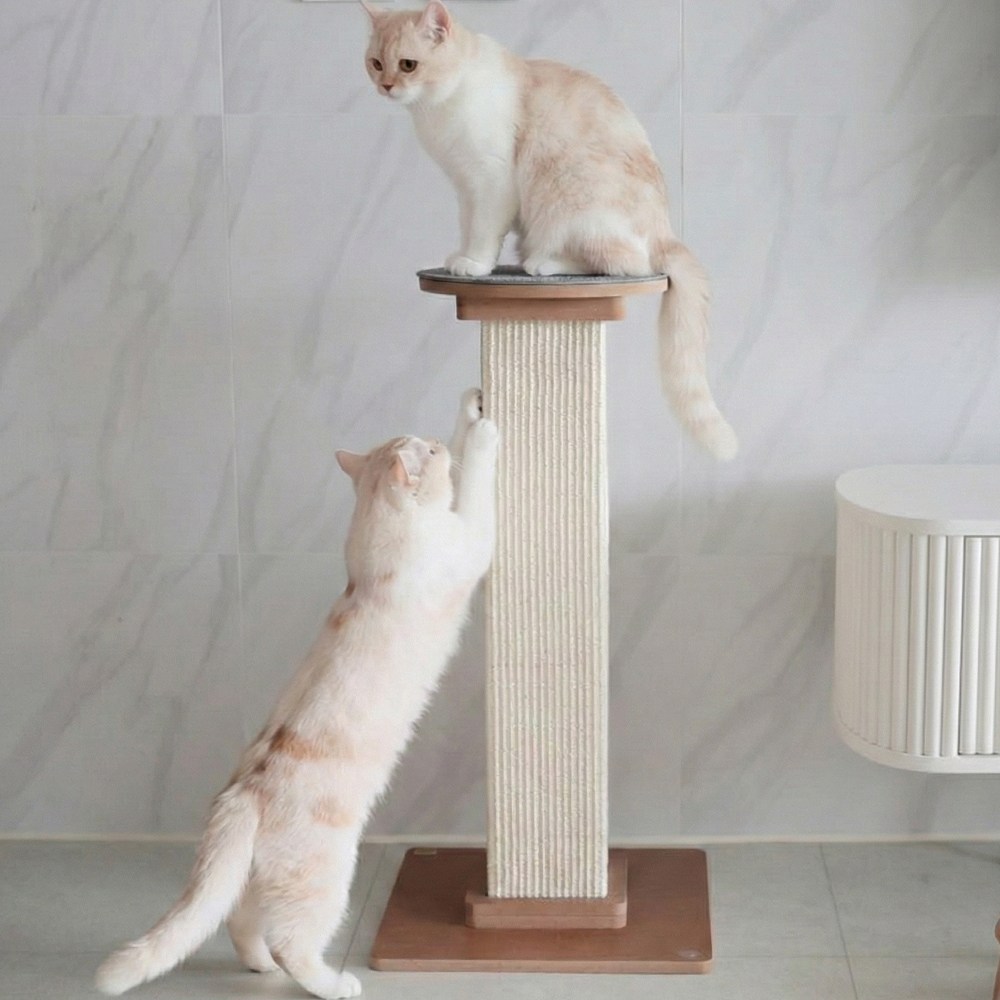 아토주 파우제 고양이 기둥 수직 스크래쳐 탑시트 포함, 1개, 원형 그레이 세트 62,800원
