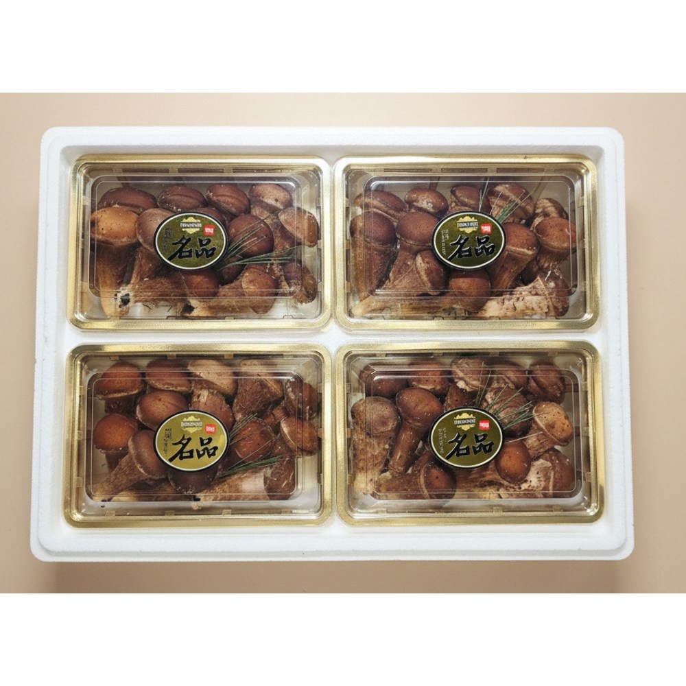 [황룡참송이]산지직송 최상급 건강한 참송이버섯 선물용,선물세트, 1개, 4구세트 64,500원