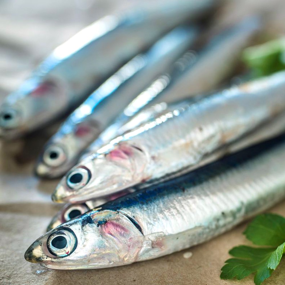 남해 생멸치 멸치쌈밥 손질 1kg 쌈밥멸치 조림용 생멸치찌개 16,530원