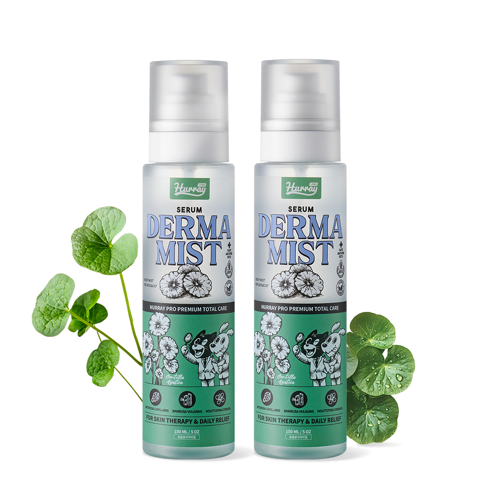 허레이 프로 강아지미스트 세럼 더마미스트 정전기방지, 2개, 150ml 34,900원