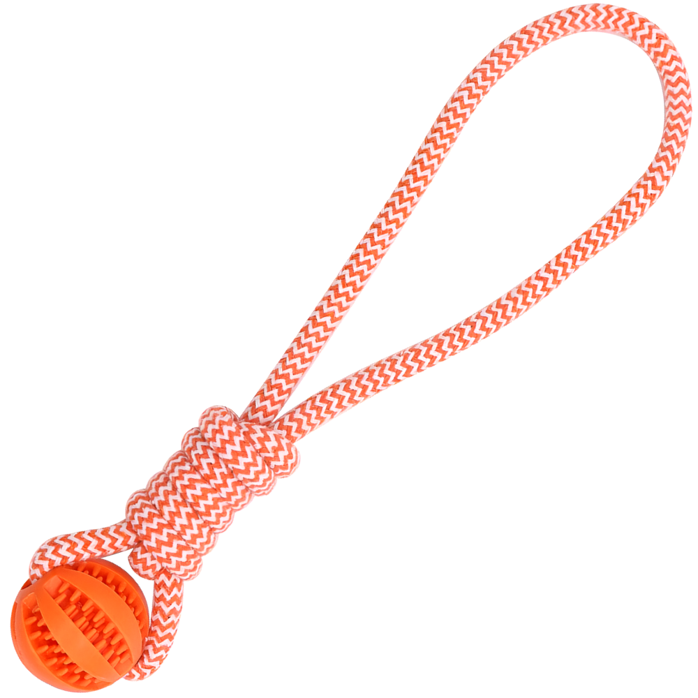 LETOJ 강아지 원형 터그놀이, 2개, 오렌지 10,240원
