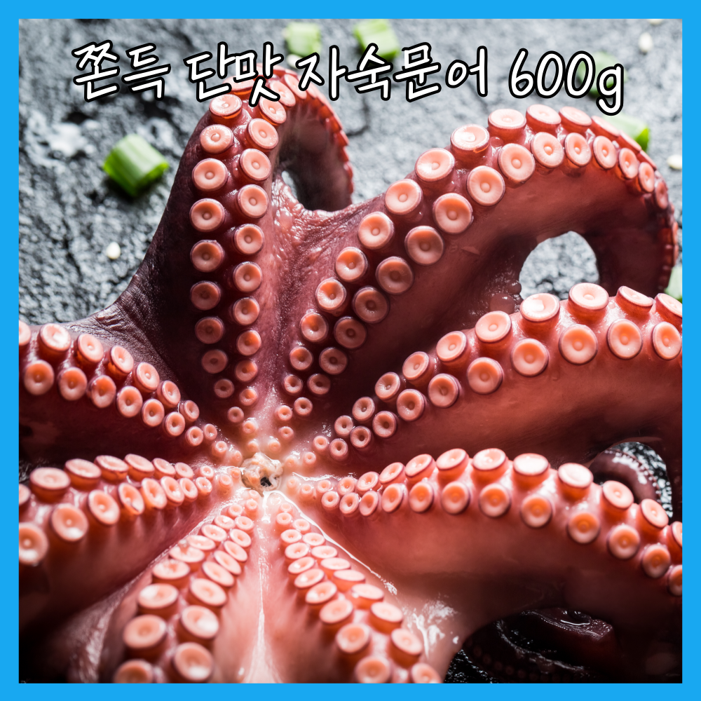 자숙문어 냉동 삶은 데친 제수용 문어 600g 17,900원