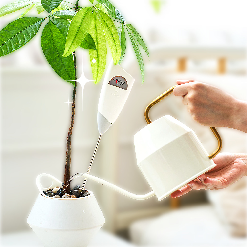 식물전파사 눈금 물주시개 10,290원