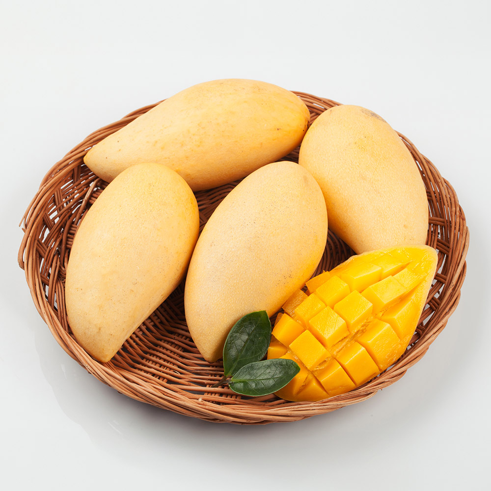 프리미엄 태국 생 망고 남독마이, 1개, 5kg(10~16개) 38,400원