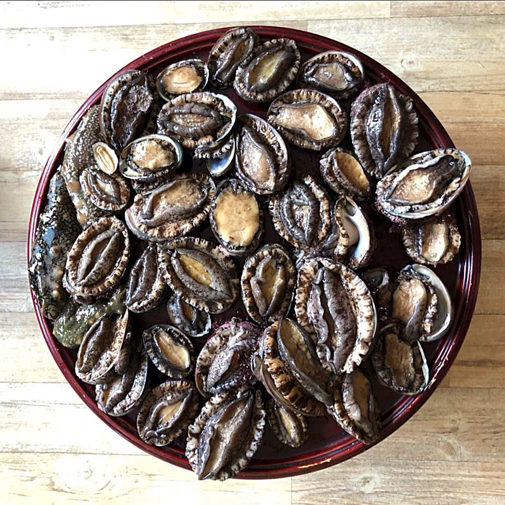 완도 꼬마 미니 라면 작은 애기 전복 1kg (30-40미 내외) 산지직송, 1개, 1kg(30-40미) 25,800원