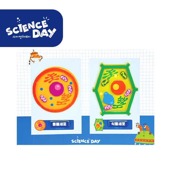 [사이언스데이] 동물세포 식물세포 9,000원