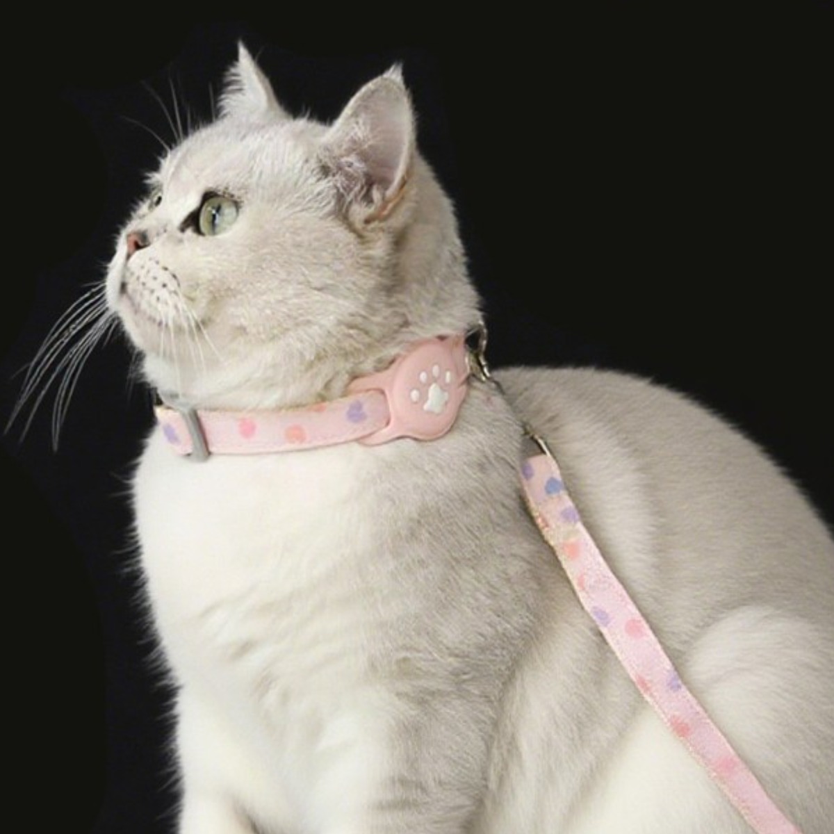 애완동물 에어태그 케이스 목걸이 / 목줄 강아지 고양이 애완동물용 분실 방지, 현재가 21,600원