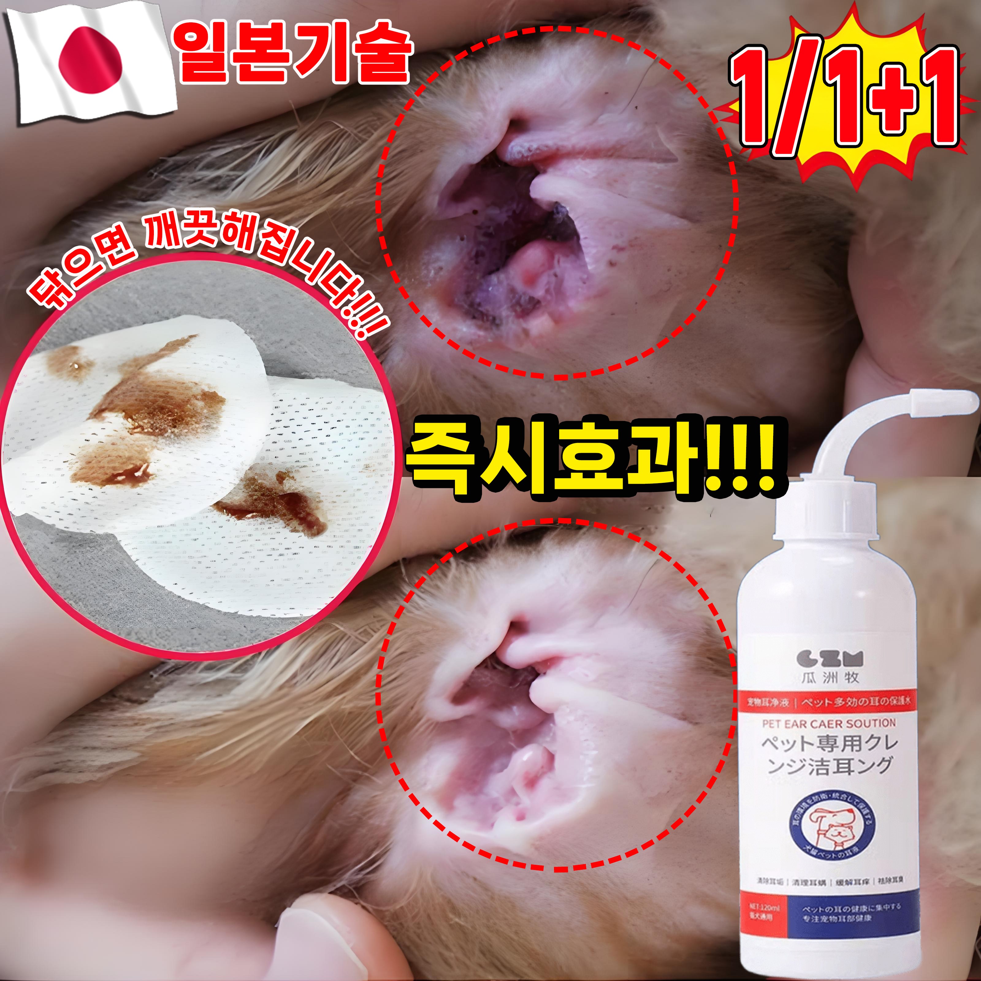 [국내배송] 1/1+1 강아지 귀 세정제 귀염 고양이 귀청소 외이염 귀냄새 제거 클리너 진드기 살균율99.9999% 포장 랜덤 증정 13,900원