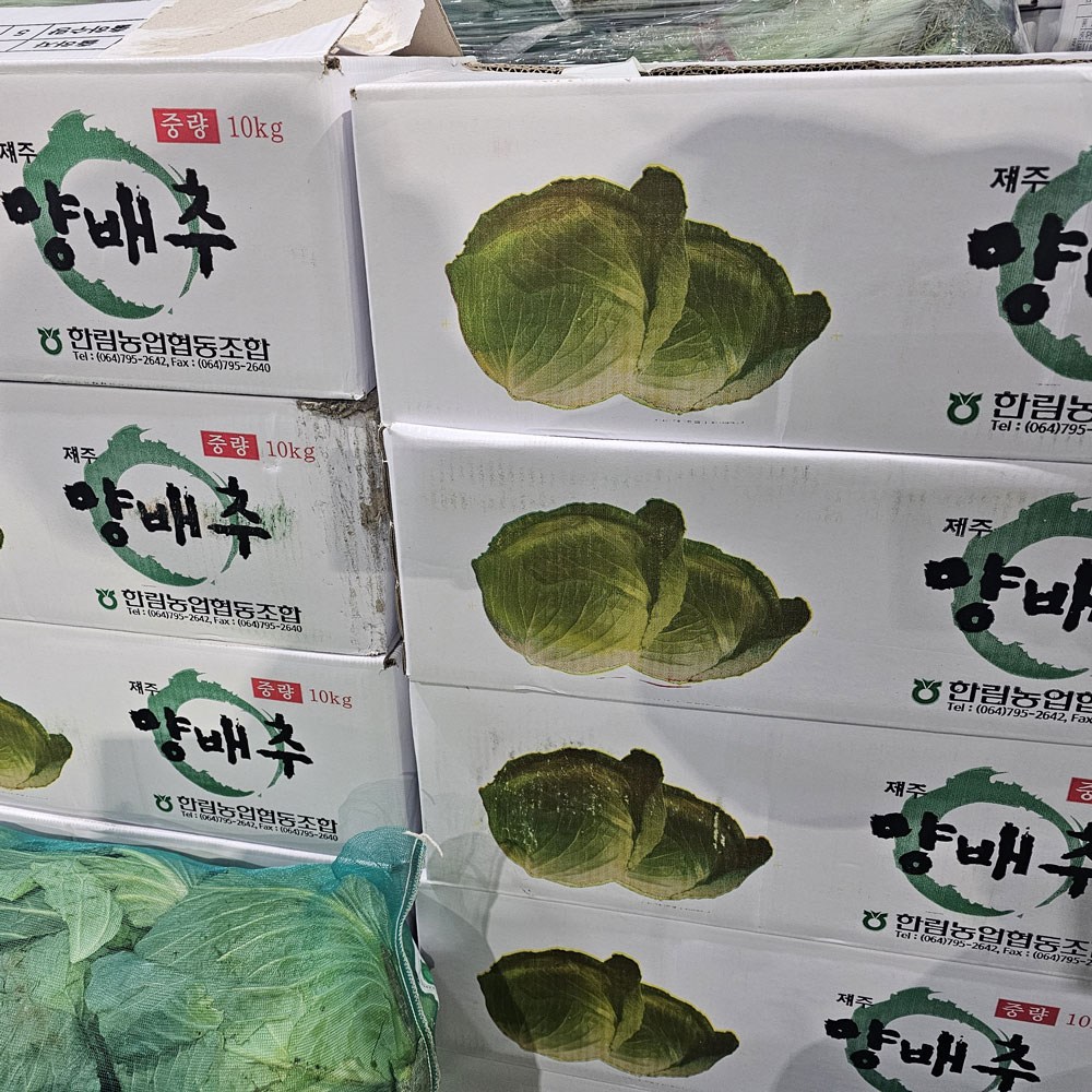 클릭마켓 국내산 양배추 9,510원
