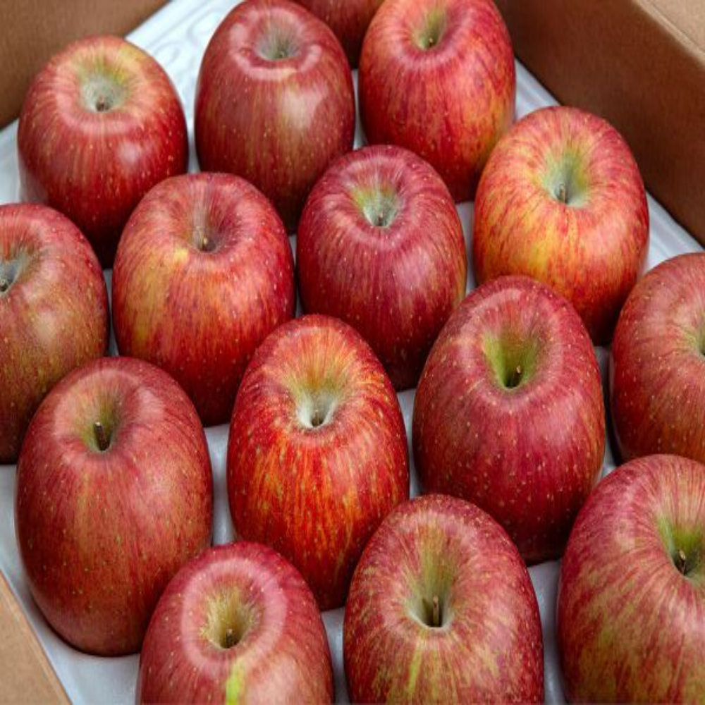 ( 정품 사과 ) 경상북도 고당도 선물용 정품 부사 사과 (정품), 1개, 5kg 대과 (정품) 60,500원