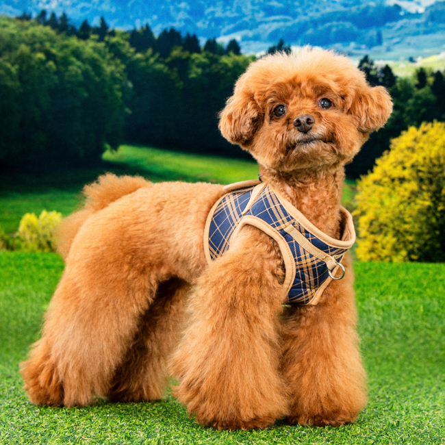 퍼피아 강아지 코윈 하네스 HB2180, 네이비, 1개 29,500원