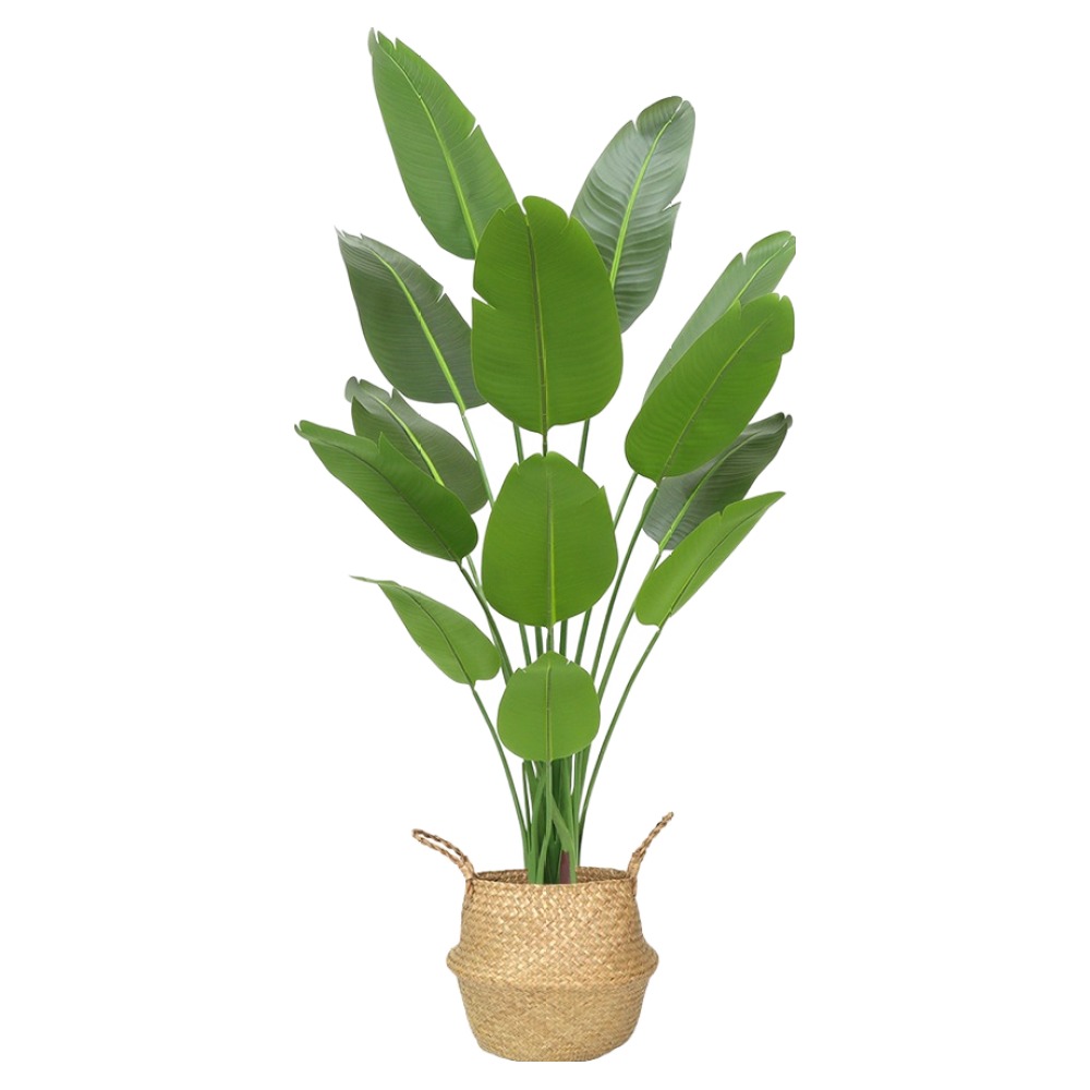 아르띠콜로 플랜테리어 극락 조화 나무 180cm + 해초 바구니 세트 79,560원