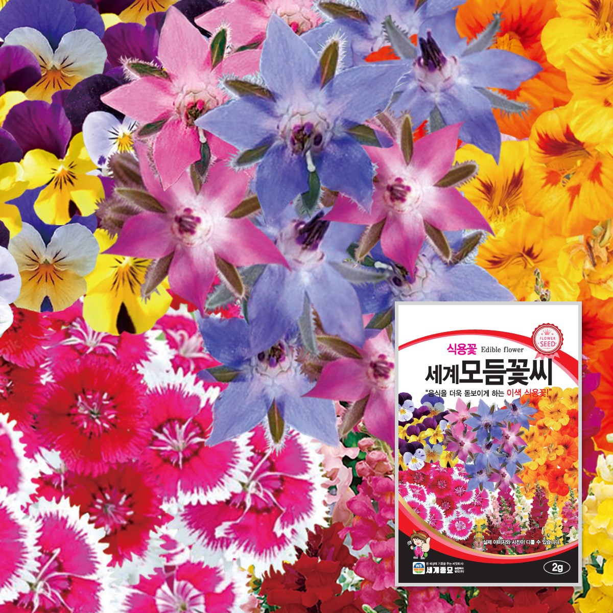 식용꽃 세계 모듬 꽃씨 2g / 씨앗 종자 화단 정원 조경 혼합 플레이팅 향기 장식 비올라 헬렌마운트 한련화 패랭이꽃 베르가못 금어초 3,000원