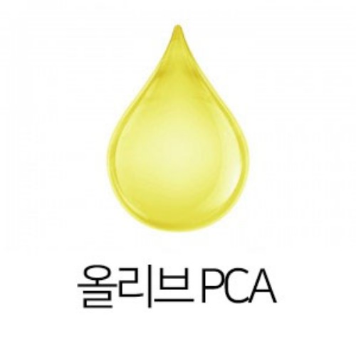 캔들바다 올리브 PCA 비누만들기재료 /계면활성제 60,000원