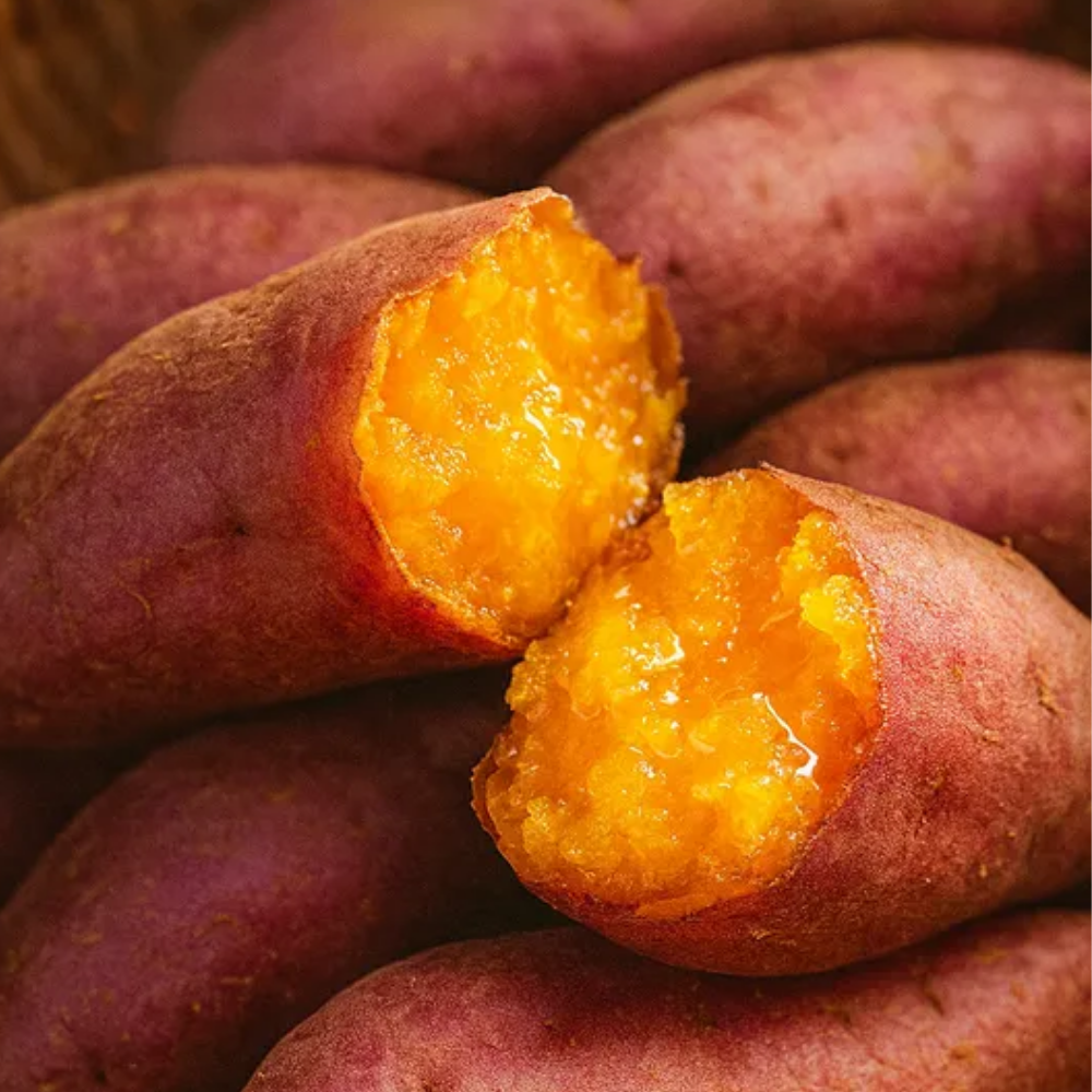 수미산들 당일수확 무농약 해남 고구마 명품 베니하루카 꿀고구마 산지직송 22,510원