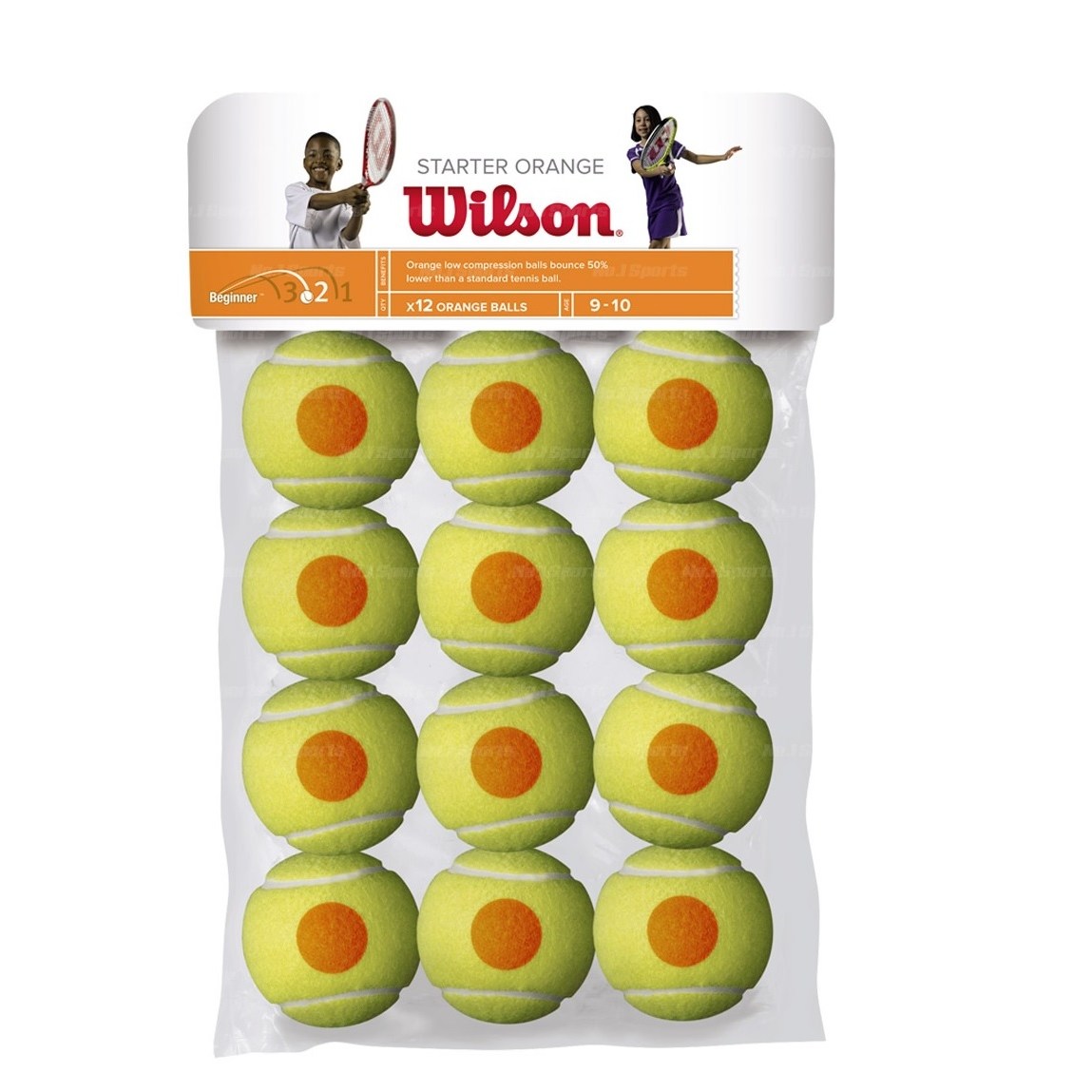 바볼랏 테니스공 골드 챔피원쉽 시합구 36캔 174,000원