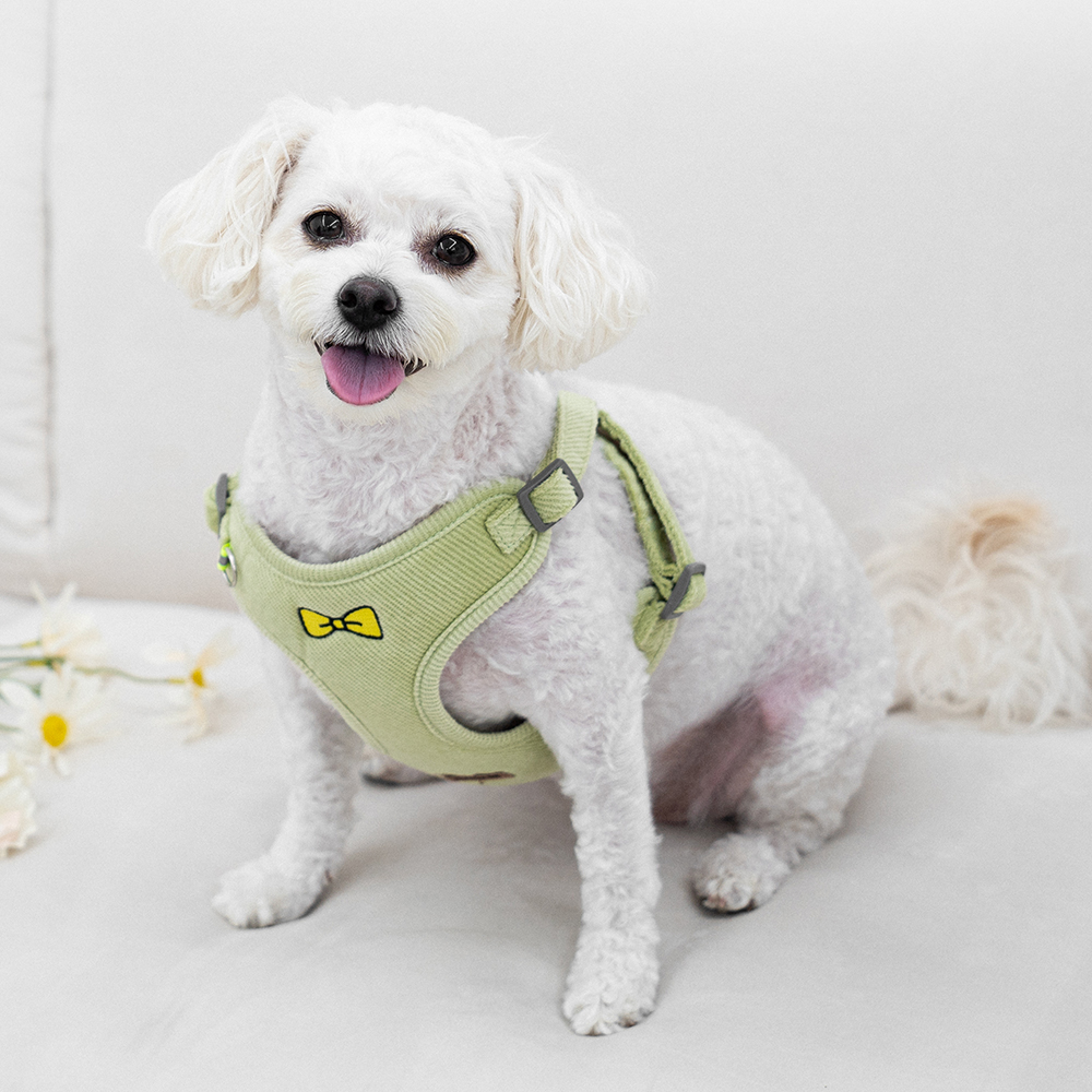 온모아 강아지 하네스 + 리드줄 세트 7,090원