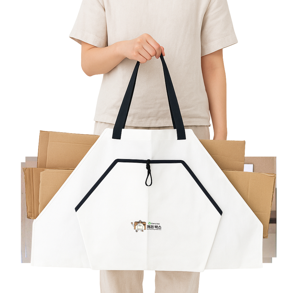 택배박스 초간단 정리 이동식 분리수거 가방 캐리박스 18,140원