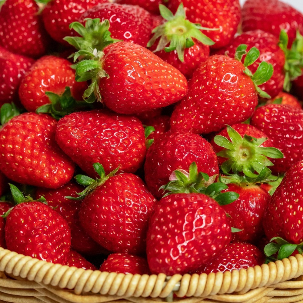 고당도 설향딸기 18,500원