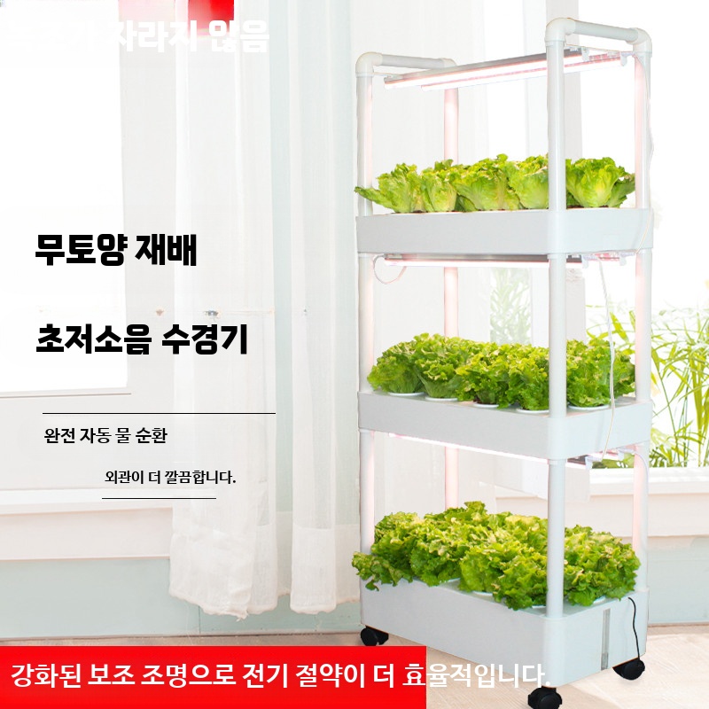 수경재배기 선재상점 가정용 텃밭가꾸기 미나리재배 박막 36홀 세바팜 스마트팜 실내조경 야채기르기 상추 포트 수경재배 실내재배 무토양재배 채소재배 건우환경 식물장 텃밭상자 화분제작 303,200원