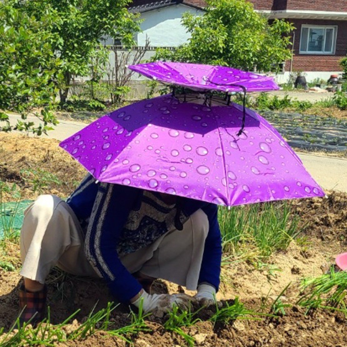 [블랙코팅] UV차단 안감 더블 핸즈프리 2단 모자우산 머리우산 우양산 텃밭우산 낚시우산 밭일 농사 작업 햇빛차단 썬캡, 물방울 퍼플(신형) 5,900원