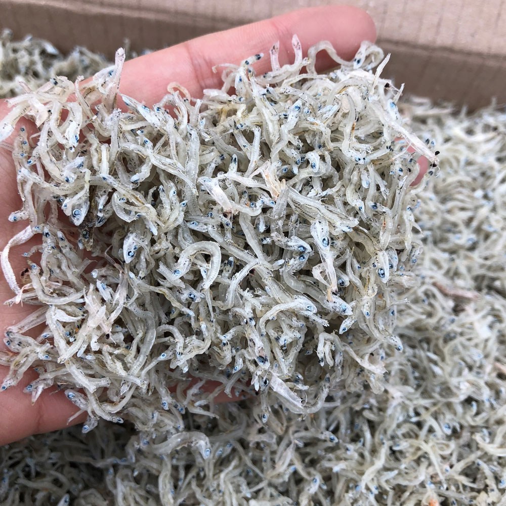 신건호멸치 직접잡은 햇 지리멸치 상급 볶음멸치 잔멸치 23,900원