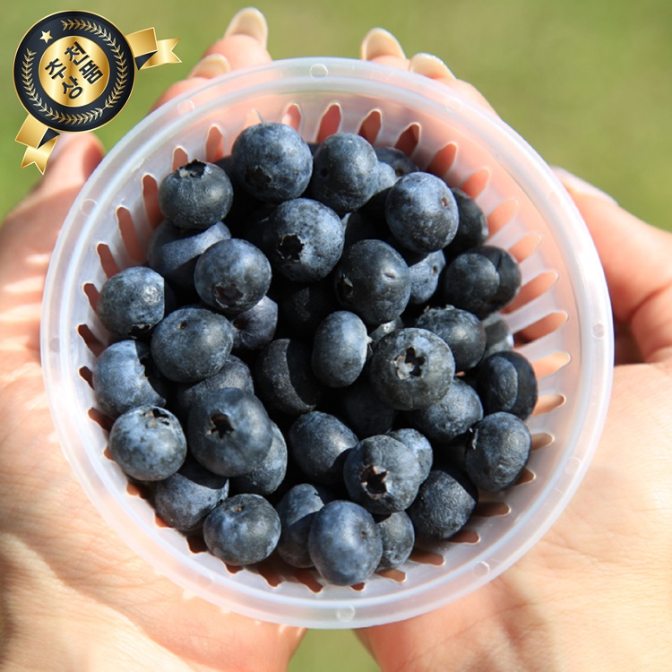 국산 블루베리 생과 생블루베리 중과 대과 블루배리, 10개, 100g(대과) 73,900원