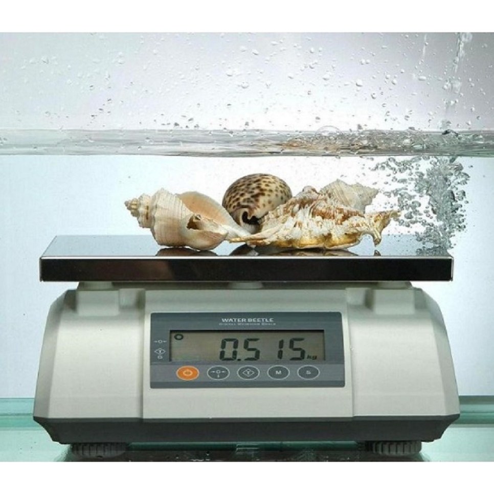 두홍 방수형 전자저울 물방개 Series, 1개 300,000원