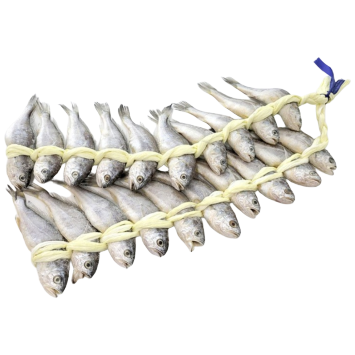 [한정특가 , 당일발송] 영광 법성포 굴비 진공포장세트 , (냉동) 65,900원