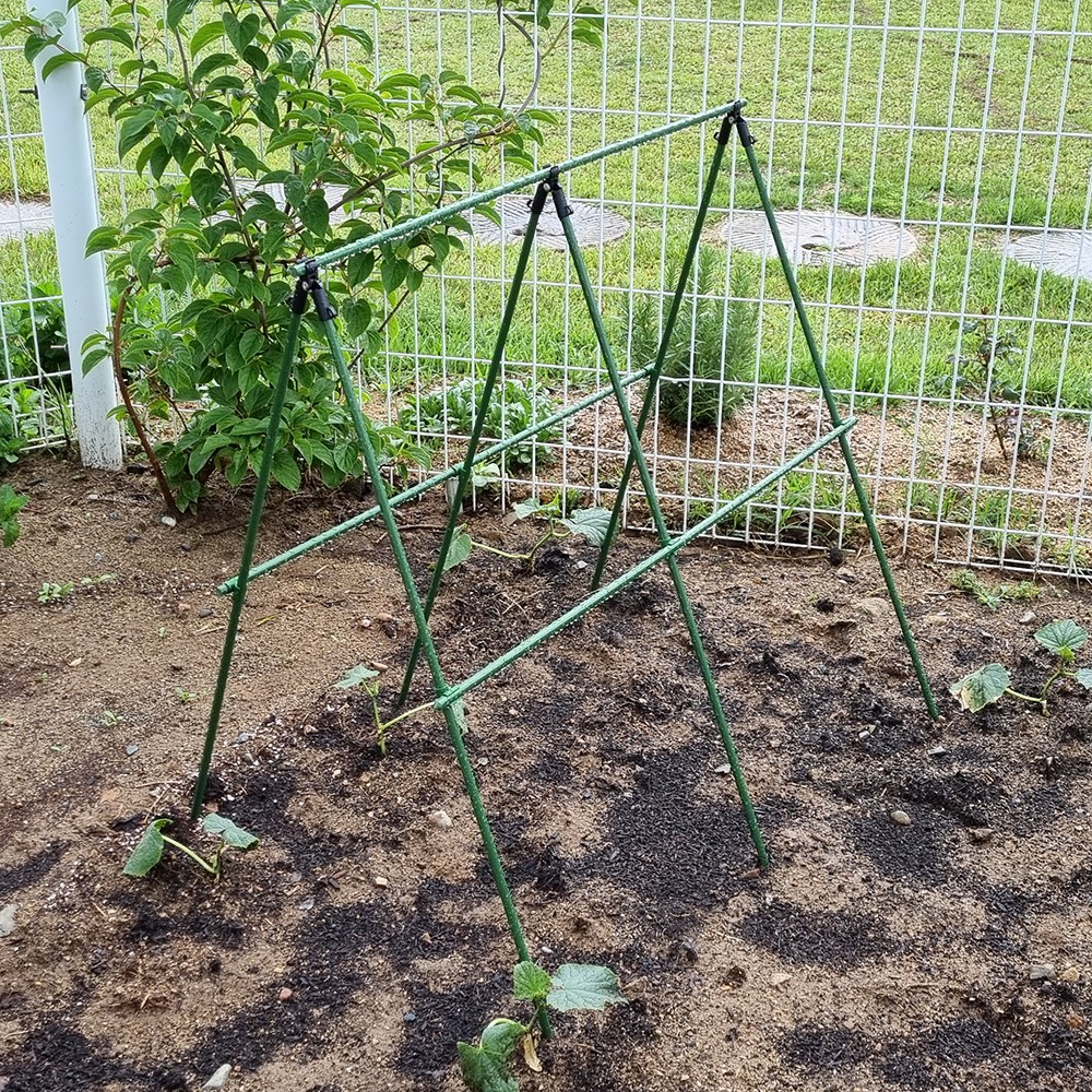 텃밭 지지대 식물지지대 오이 토마토 넝쿨 화분 화초 지주대 11,500원