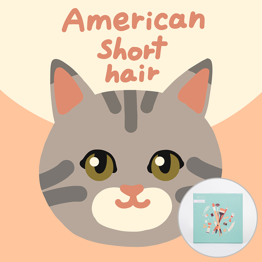 아트조이 DIY 명화그리기 아메리칸 숏헤어 고양이 20x20cm 6,900원