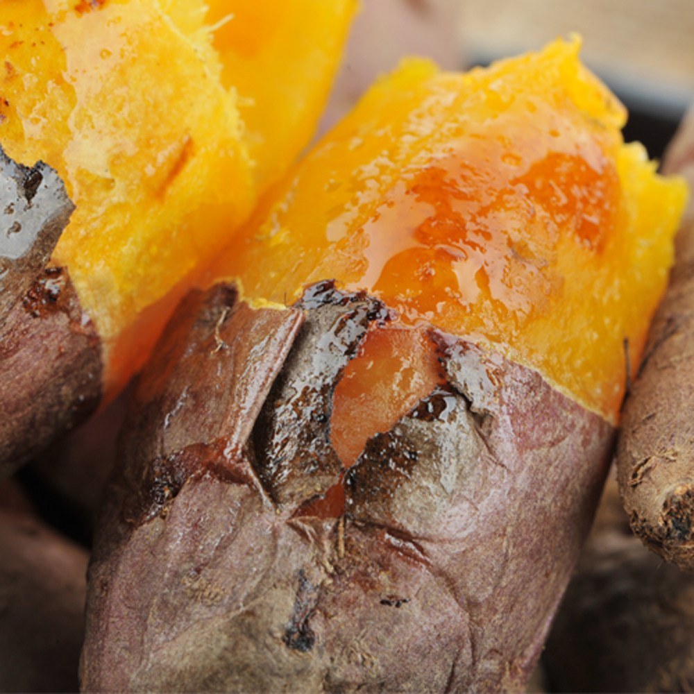 정읍젊은농부 햇 호박고구마 21,900원