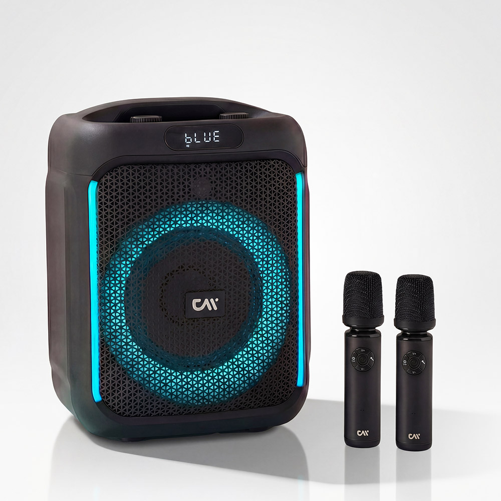 더씽 블루투스 스피커 무선 마이크 휴대용 노래방 강의용 행사용 179,000원