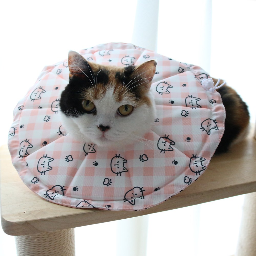 드림계곡 반려동물 강아지 고양이 초경량 방수 빅 칼라 넥카라, 1개, 핑크색 13,900원