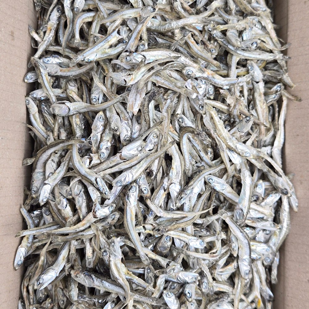 [바다찬미] 국내산 짜지않은 햇 고바멸치(최상급) 안주용 조림용 멸치 16,980원