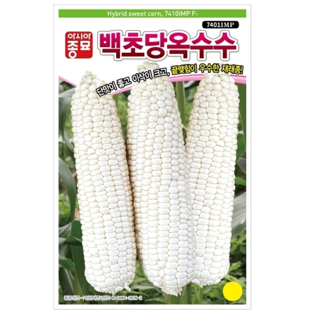 백초당옥수수 2000립 씨앗 아시아 60,000원