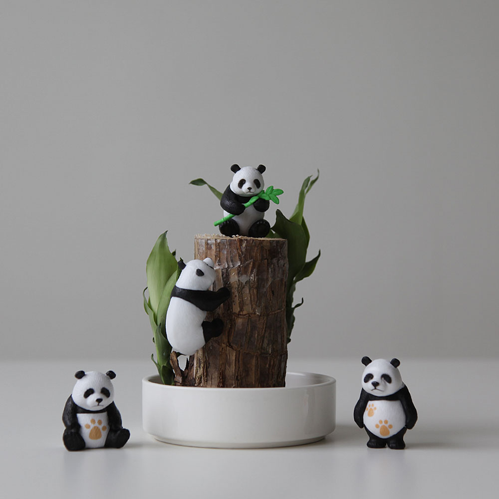 판다4종 행운목 수경재배 세트 천연가습기 데크테리어, 1개 13,900원