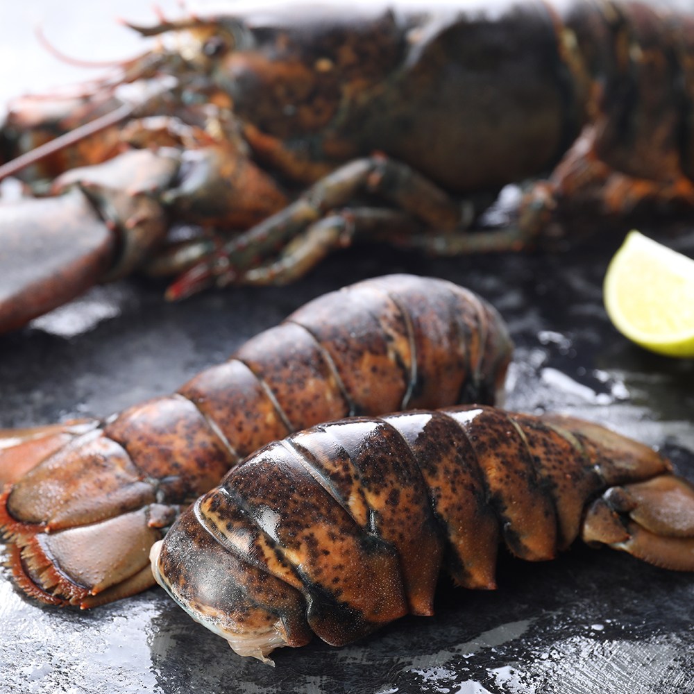 [우연수산] 랍스터테일 4oz 특대 정품 62,910원