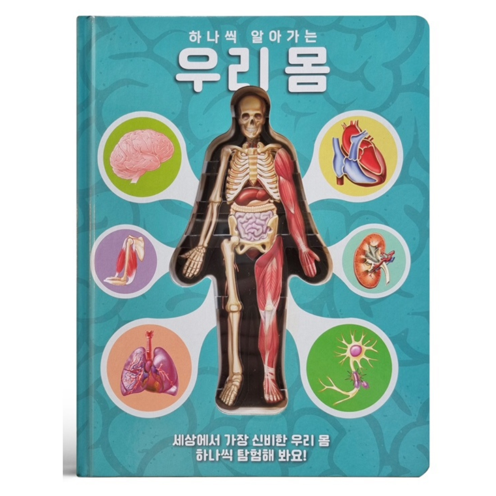 룰루아이 하나씩알아가는우리몸 인체책 우리몸도서 과학책 우리몸 17,010원