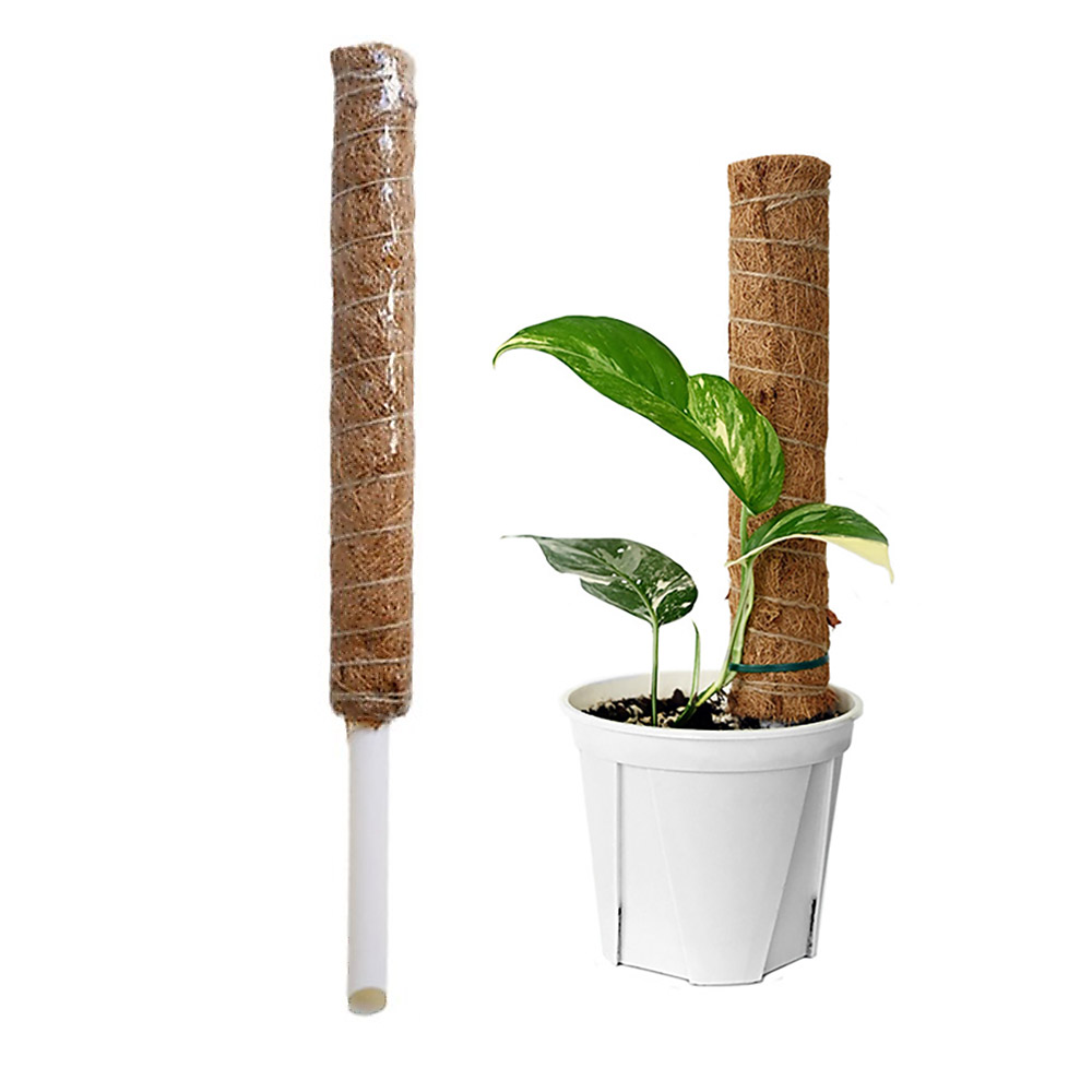 식물 지지대 원예 지주대 수태봉 1m DD-11068 9,820원