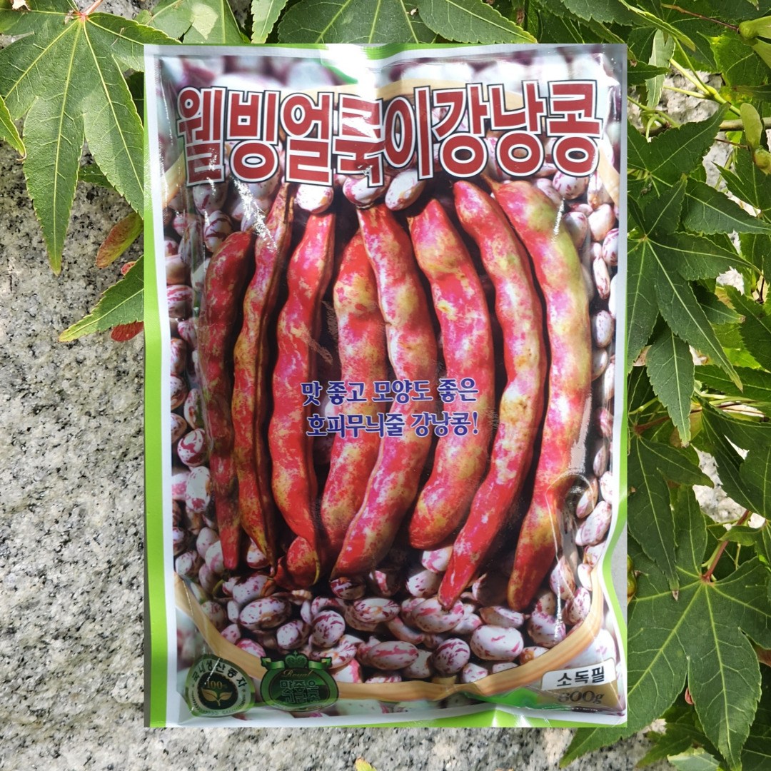 강낭콩씨앗 대포장 웰빙 얼룩이강낭콩 600g 1개, 호피무늬줄 비덩굴성 얼룩이 강낭콩, 1개 40,000원